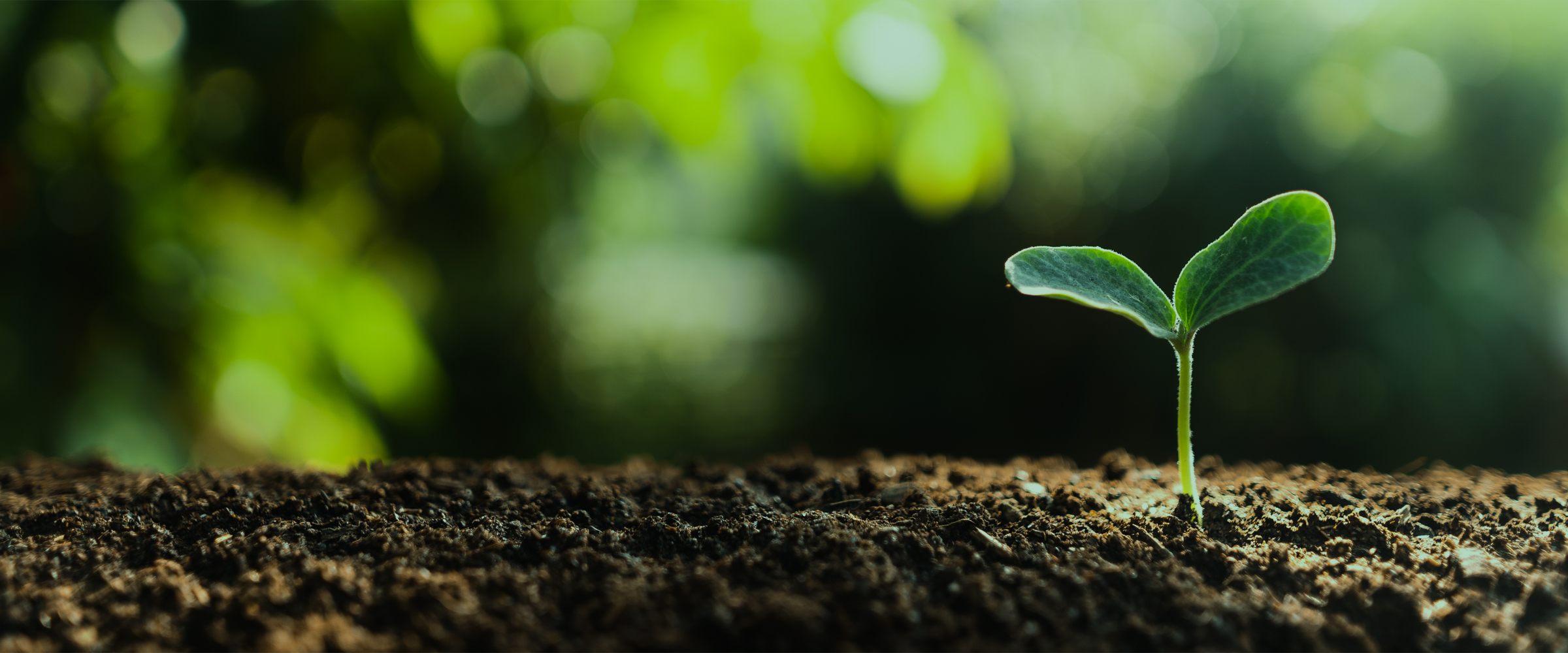 初めての方｜株式会社 JUKI.NET｜産業廃棄物収集運搬・中間処理・コンサルティング