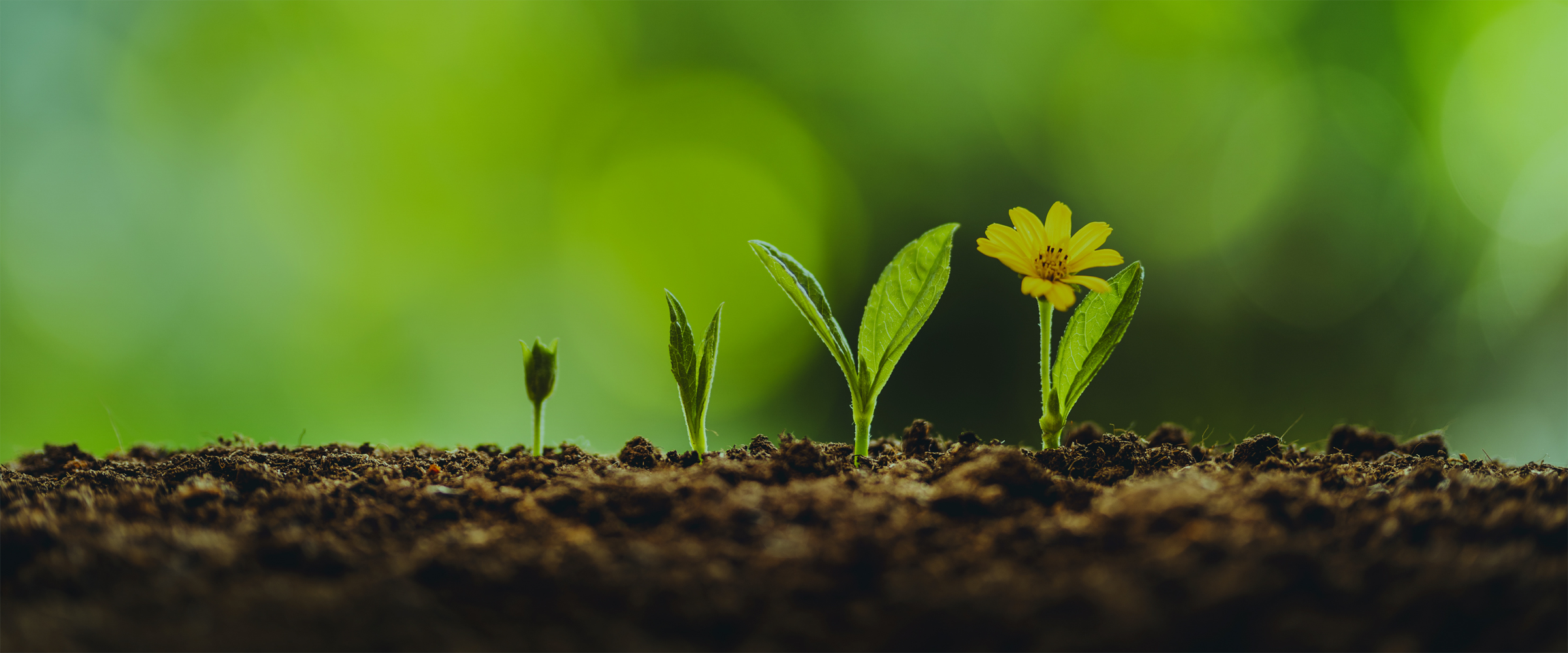 ニュース｜株式会社 JUKI.NET｜産業廃棄物収集運搬・中間処理・コンサルティング