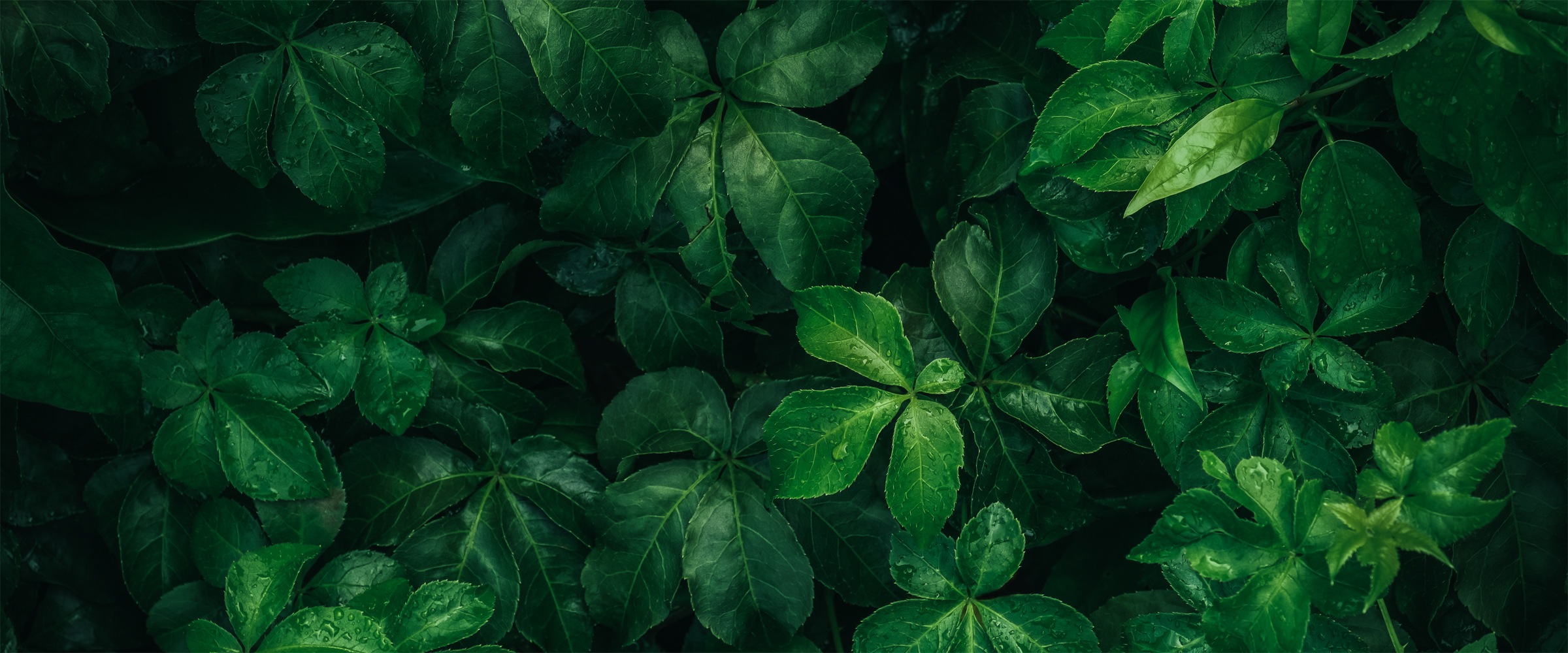 個人情報保護方針｜株式会社 JUKI.NET｜産業廃棄物収集運搬・中間処理・コンサルティング